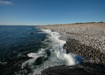 dsc_8624 dsc_8624